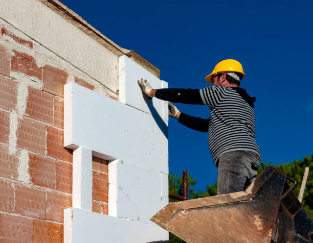 Best Insulation Installation Services in Locust Fork, AL