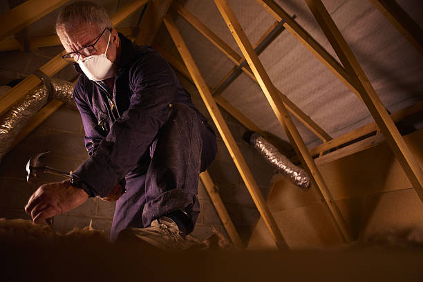 Best Commercial Insulation in Locust Fork, AL
